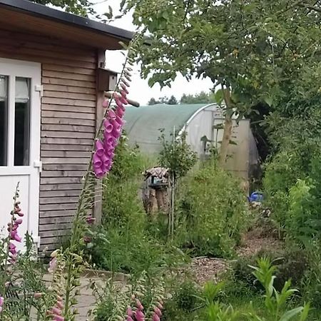 Fairschlafen - Gartenwohnung Bücken Esterno foto